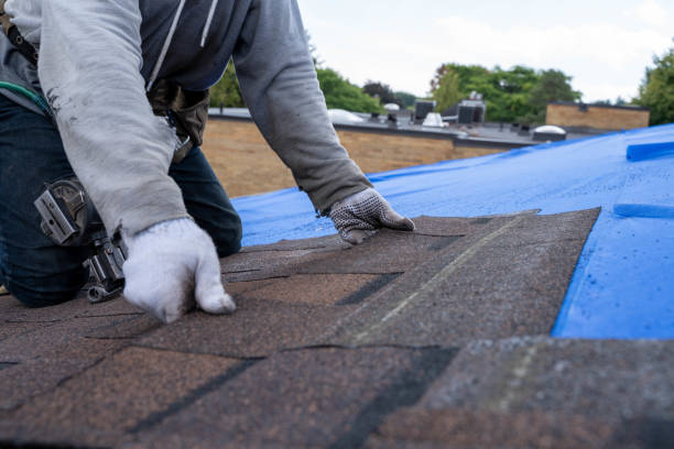 Best Roof Gutter Cleaning  in Linden, CA