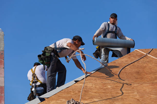 Roof Gutter Cleaning in Linden, CA